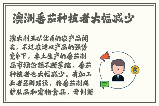 **txt下载